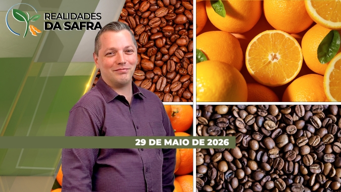 Eventos sobre cafeicultura e citricultura discutem sobre os rumos das culturas no país