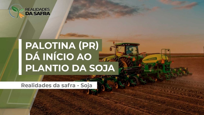 Plantio da soja em Palotina (PR) já começou, com chuvas do final de semana dando condições, segundo produtora