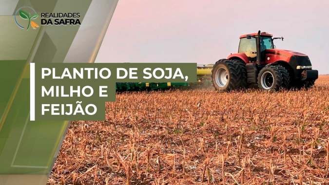 Chuva chega em Mangueirinha/PR e plantio de soja, milho e feijão deve avançar
