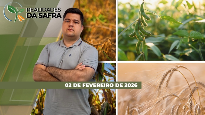 Amambai/MS espera boa safra de soja, mas Rio Grande do Sul enfrenta dificuldades com chuvas e já espera perdas