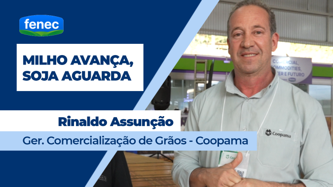 Colheita do milho no Sul de Minas registra altas produtividades; safra de soja tem atraso com fertilizantes