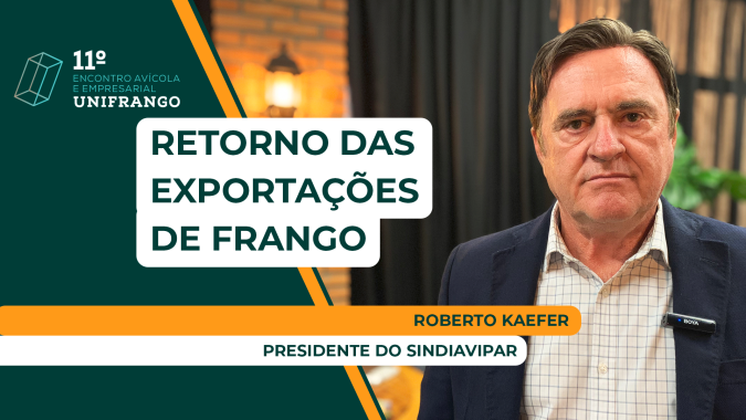 Brasil precisa urgentemente retomar as exportações de carne de frango para a Ásia e Europa, diz presidente do Sindiavipar