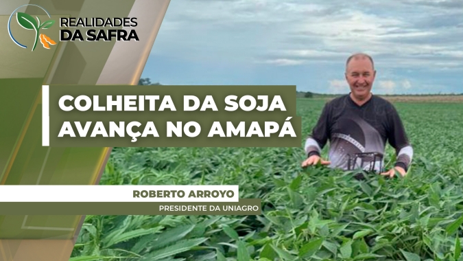 Colheita da soja começa no Amapá com projeção de mais produtividade do que safra passada
