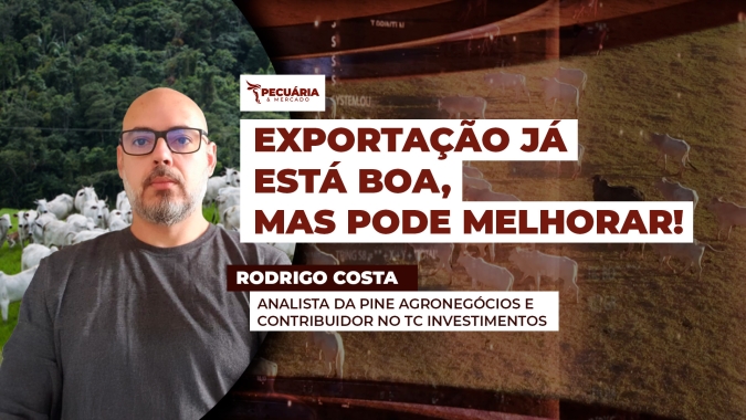 A exportação de carne bovina tem superado resultados do ano passado e a tendência é melhorar no segundo semestre