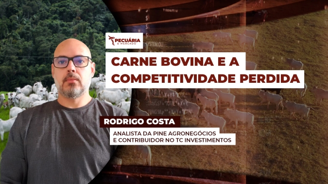 Nova tarifa de 50% para a carne bovina pode comprometer competitividade do produto brasileiro nos EUA