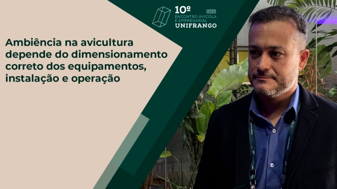 Ambiência na avicultura depende do dimensionamento correto dos equipamentos, instalação e operação
