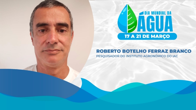 Métodos conservacionistas, além de serem mais benéficos para o meio ambiente, reduzem custos nas lavouras