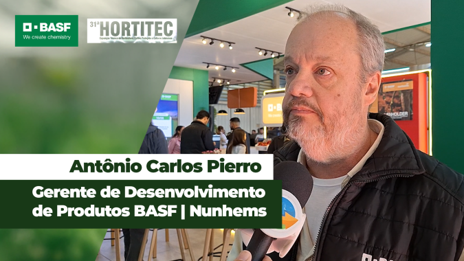 Iniciar a lavoura com híbrido resistente às doenças faz total diferença na produtividade do tomate