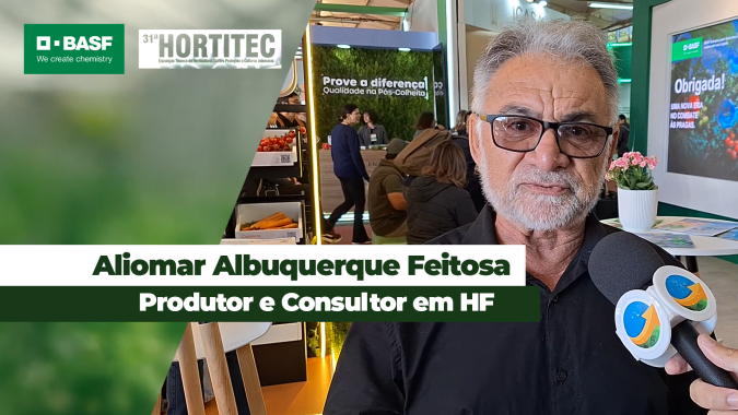 Tomate é cultura que mais está sofrendo com doenças bacterianas nos cultivos de hortifruti