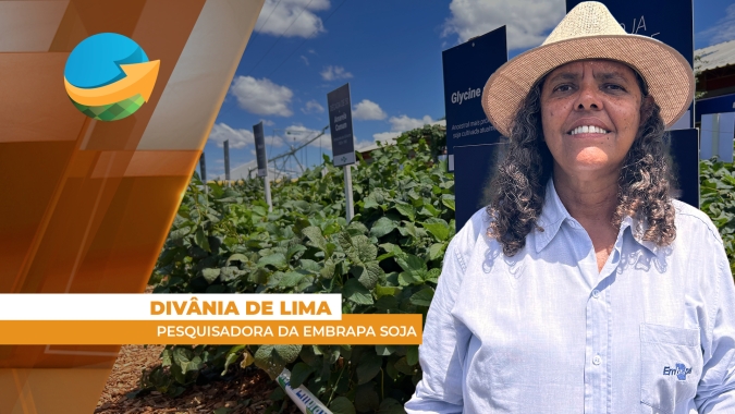 História da soja no Brasil se interliga com a da Embrapa Soja