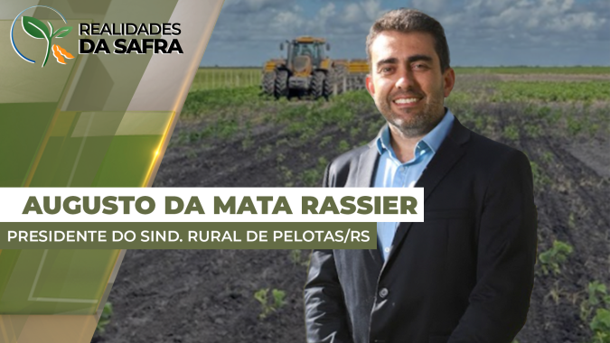 Plantio da soja sofreu com muita chuva em Pelotas/RS e agora desenvolvimento é afetado pela seca