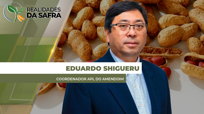 Após perder 50% da produção de amendoim de 24, Tupã/SP espera boa safra em 25