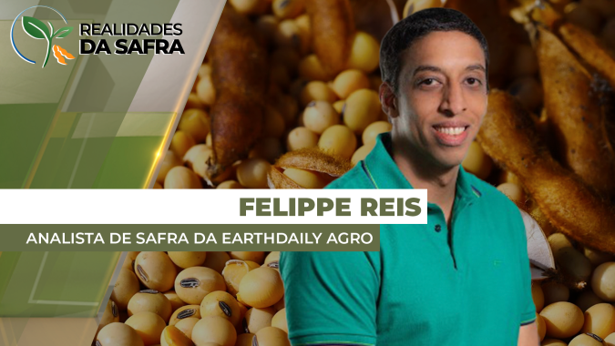 Safra de soja no Brasil segue prevista em 170,8 milhões de toneladas, mas tem viés de baixa