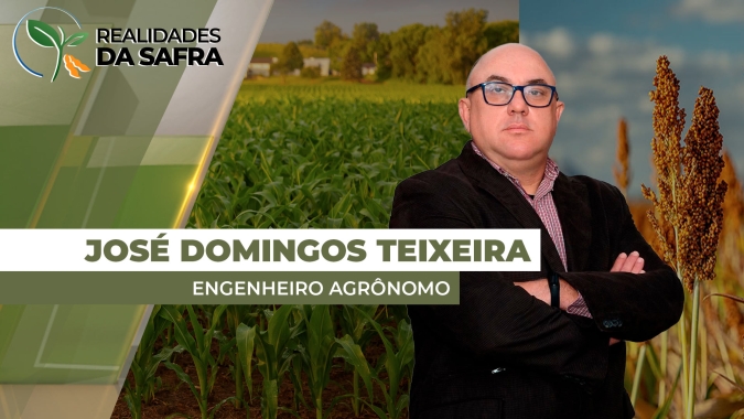 Bom volume de chuvas ajuda lavouras de milho e sorgo em Barra do Garças/MT