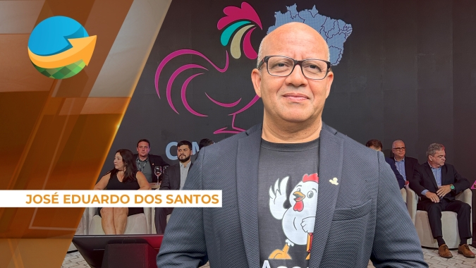 Após queda nas exportações de carne de frango por embargos, RS deve ver estabilização em 2025, diz liderança