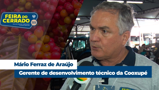 Em 2026, Brasil deve ter a melhor safra de café dos últimos 4 anos