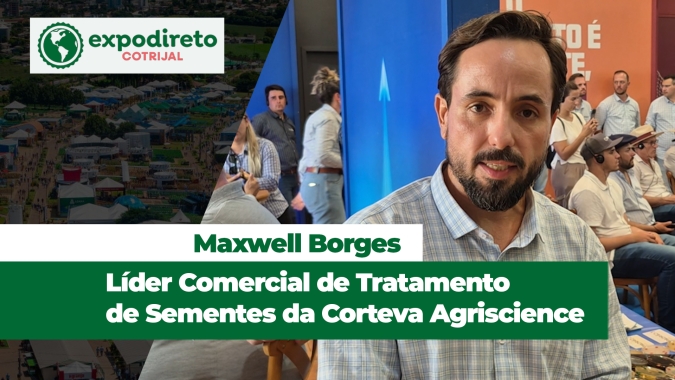 Tratamento de sementes pode evitar perdas desde o início da lavoura