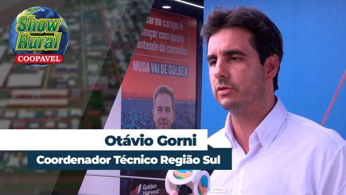 Cultivares de soja focadas no produtor da Região Sul são destaque no Show Rural da Coopavel