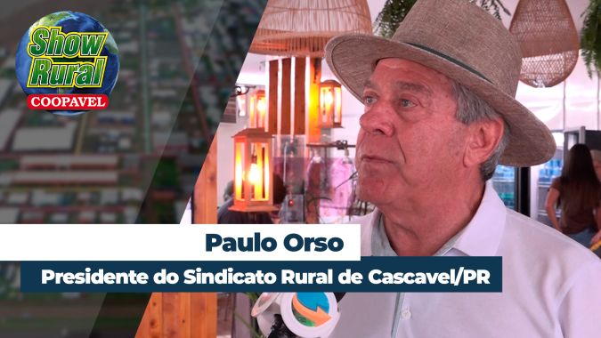 Cascavel/PR espera altas produtividades na soja e deve estender plantio do milho para além da janela ideal