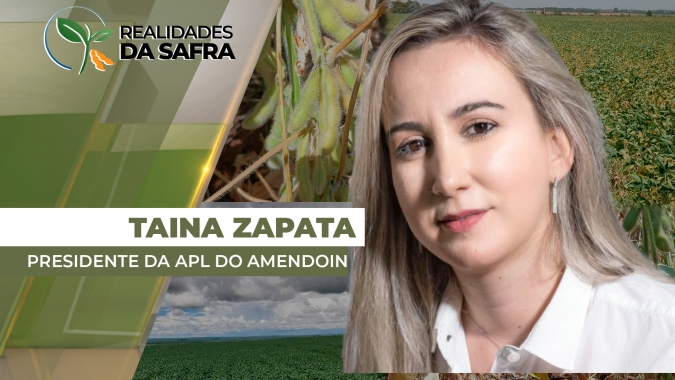 Colheita do amendoim avança em Tupã/SP com queda de produtividade e problemas na qualidade