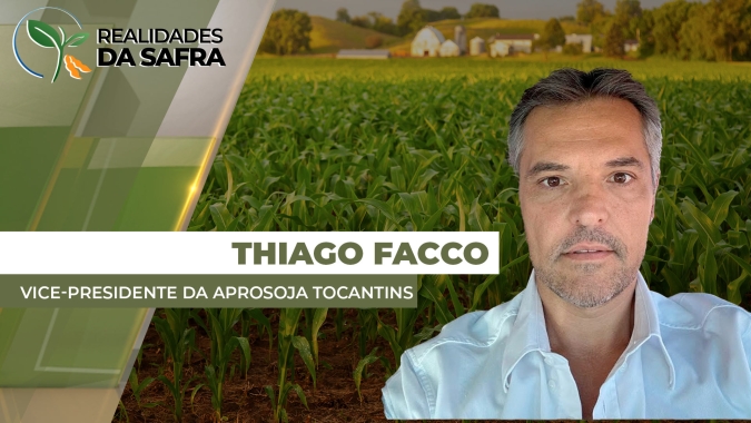 Tocantins plantou área recorde de milho e espera altas produtividades caso chuvas da virada do mês se confirmem