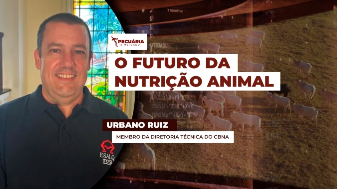 Como as fábricas de ração estão se preparando para produzir nutrição de qualidade e cada vez mais personalizada