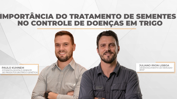 Tratamento de sementes no trigo como ferramenta eficiente de controle das doenças como oídio e ferrugem das folhas