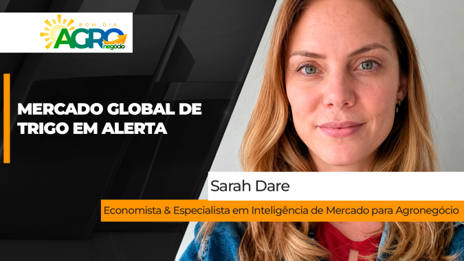 Clima adverso e logística global rompida mantêm mercado de trigo em alerta