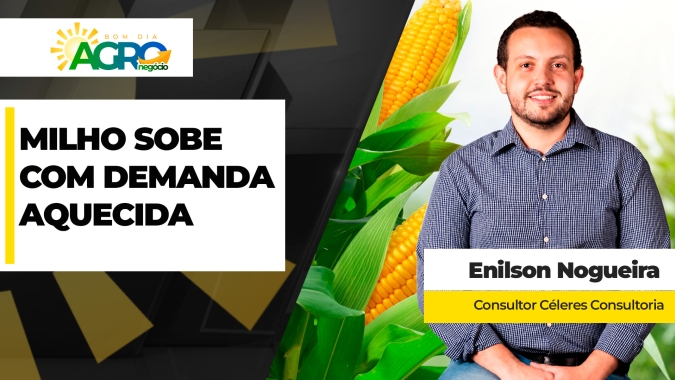 Com produção da safrinha já precificada pelo mercado, preço do milho sobe no Brasil empurrado pela demanda interna e externa
