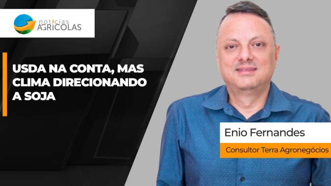 Milho despenca com dados do USDA e soja divide atenções entre Chicago e o clima brasileiro