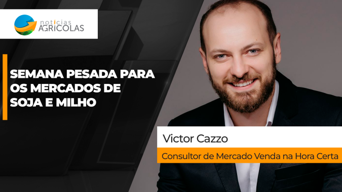 Soja tem semana de pressão em Chicago e no Brasil, apesar do dólar, e negócios ficam bem mais limitados