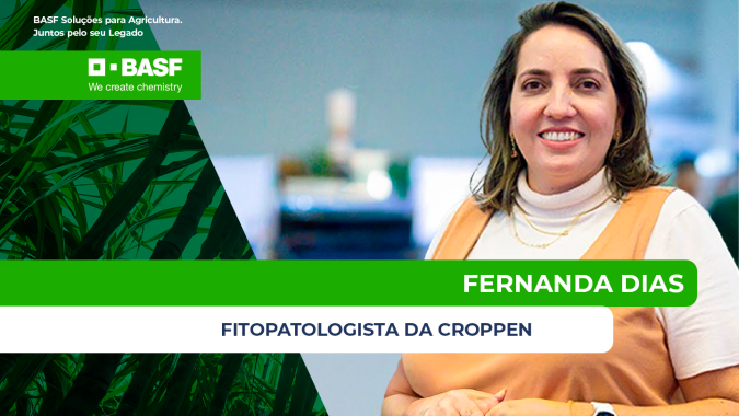 Murcha avança nos canaviais e já figura entre as maiores causas de queda na produtividade