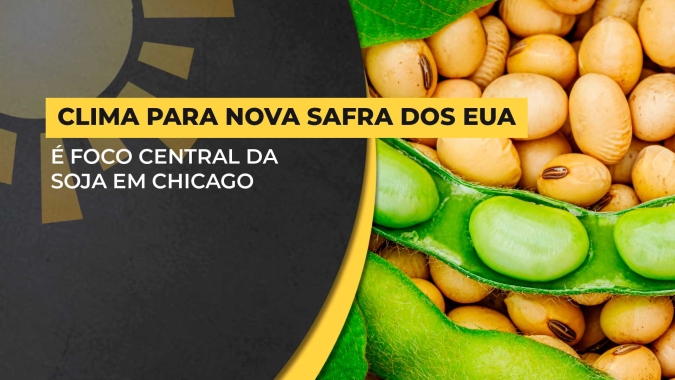 Soja: Demanda global está focada no Brasil, mas mercado se divide com clima nos EUA para nova safra