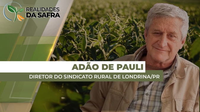 Momentos de muita chuva no começo da safra aumentaram pressão de doenças em Londrina/PR
