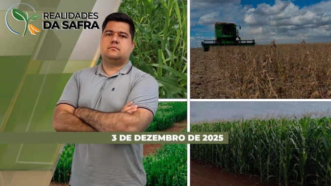 Clima irregular está afetando desenvolvimento da soja em Palotina/PR, São Paulo e Paraguai