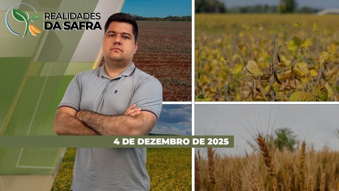 Clima afeta desenvolvimento da soja em Primavera do Leste/MT e contribuí para aumento da pressão de doenças em Londrina/PR