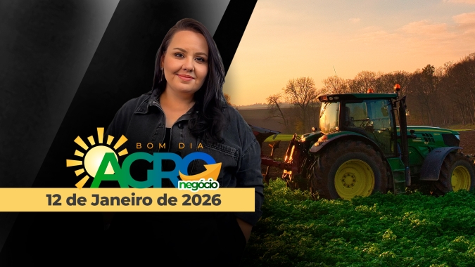 Soja pressionada em reais por saca, colheita começando no BR e expectativas para o novo USDA