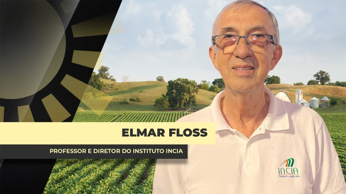 RS: Lavouras caminham para fase de conclusão da safra e clima mantêm produtor em alerta com chuvas intensas no Sul do BR
