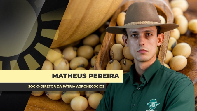 Câmbio e prêmios limitam valorização da soja no Brasil e custo do carrego do grão aperta ainda mais as margens