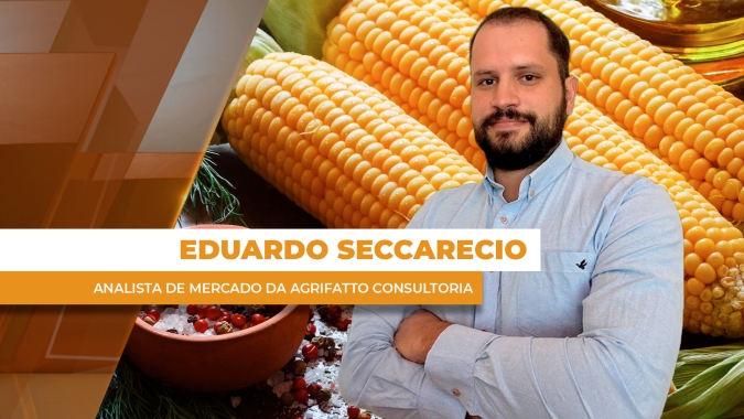 Milho teve semana de desvalorizações após números do USDA que surpreenderam o mercado