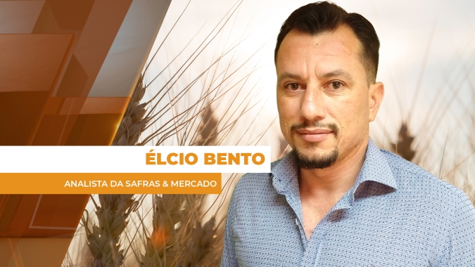 Grande oferta de trigo no mundo eleva estoques e segue pressionando preços
