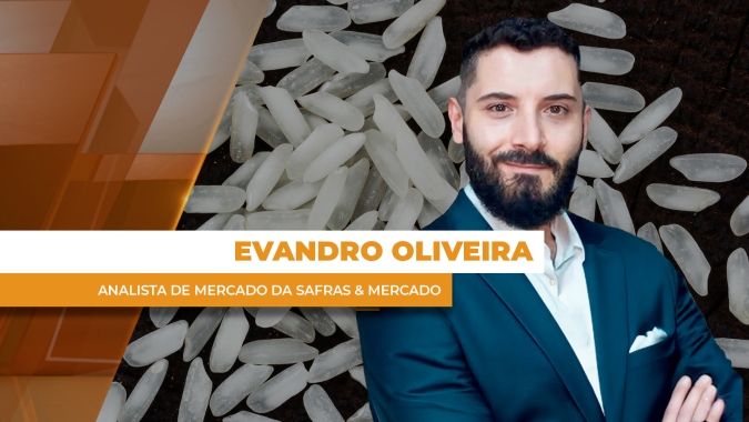 Preços do arroz continuam baixos e deixam setor em risco
