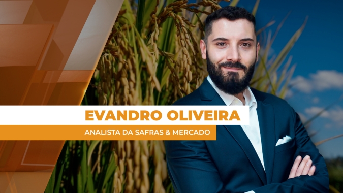 Setor do arroz espera urgente medidas governamentais que atuem sobre o custo de produção, diz analista