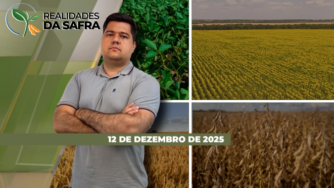 Chuvas voltaram para a soja de Cândido Mota/SP e AgRural destaca melhora do clima para o desenvolvimento ao redor do Brasil