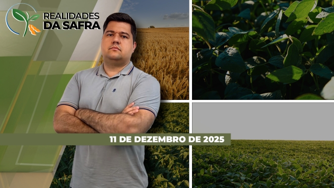 Soja sofre com o clima em Doutor Camargo/PR e Sealba vai finalizando colheita do milho