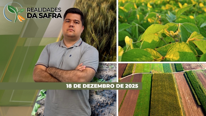 Soja segue se desenvolvendo bem no Mato Grosso do Sul e volta das chuvas traz alívio para Primavera do Leste/MT