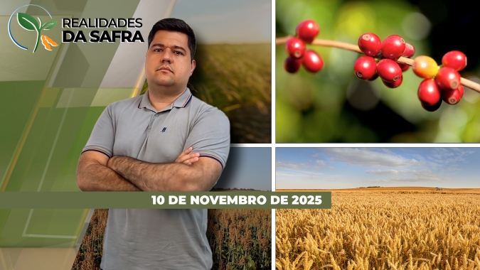 Paraná terá replantio da soja por excesso de chuvas e Mineiros/GO pela falta de precipitações