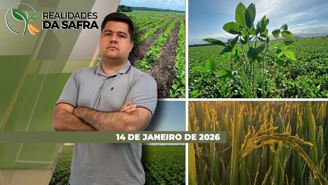 Colheita da soja avança pelo Brasil com regiões esperando boas produtividades