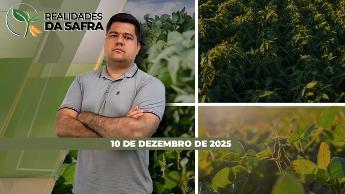 Chuvas irregulares causam desenvolvimento desuniforme da soja em Carazinho/RS e atrasam trabalhos no sul do Mato Grosso