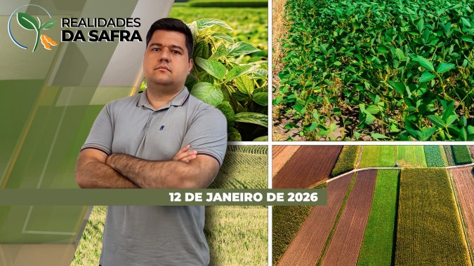 Colheita da soja avança em Sorriso/MT e começa pontualmente em partes do Paraná